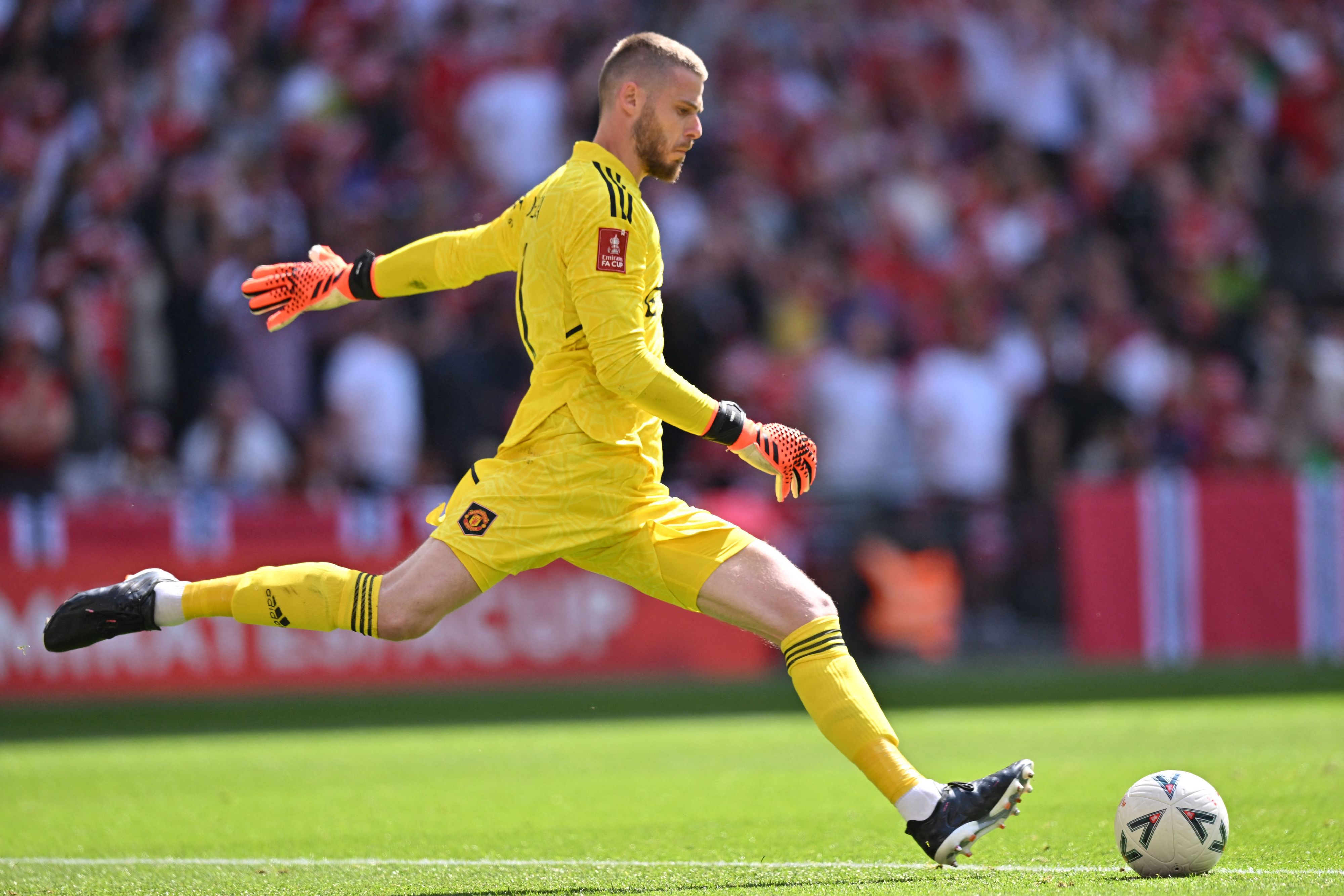 דויד דה חאה שוער מנצ'סטר יונייטד