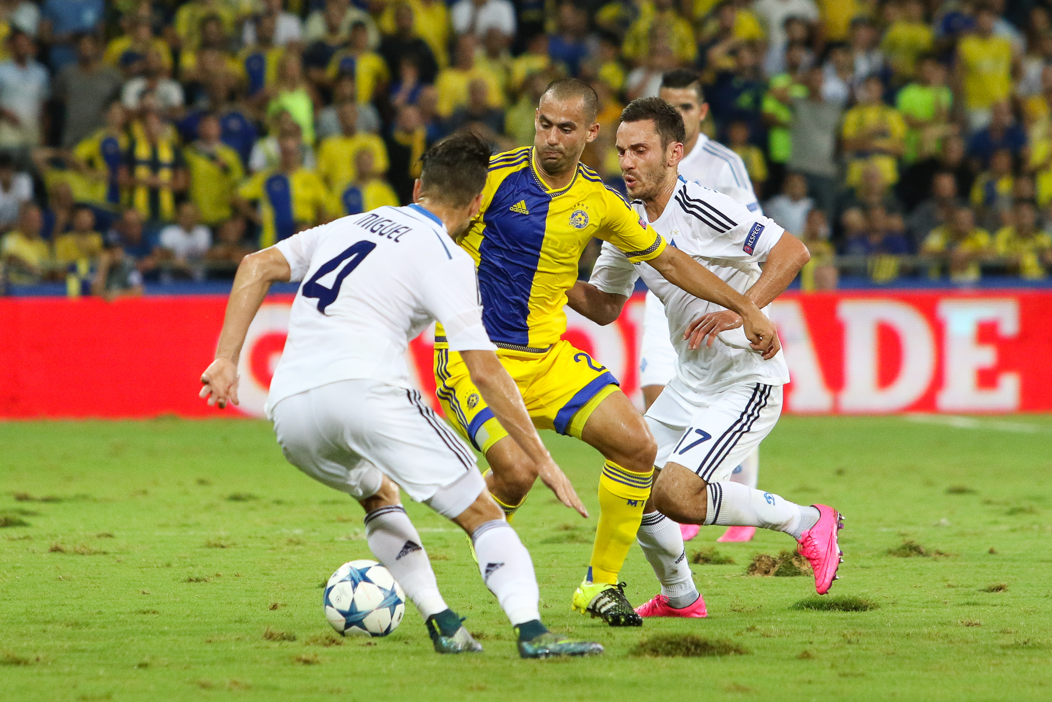 ורמוט הולך לאיבוד בין ולוסו וריבאלקה