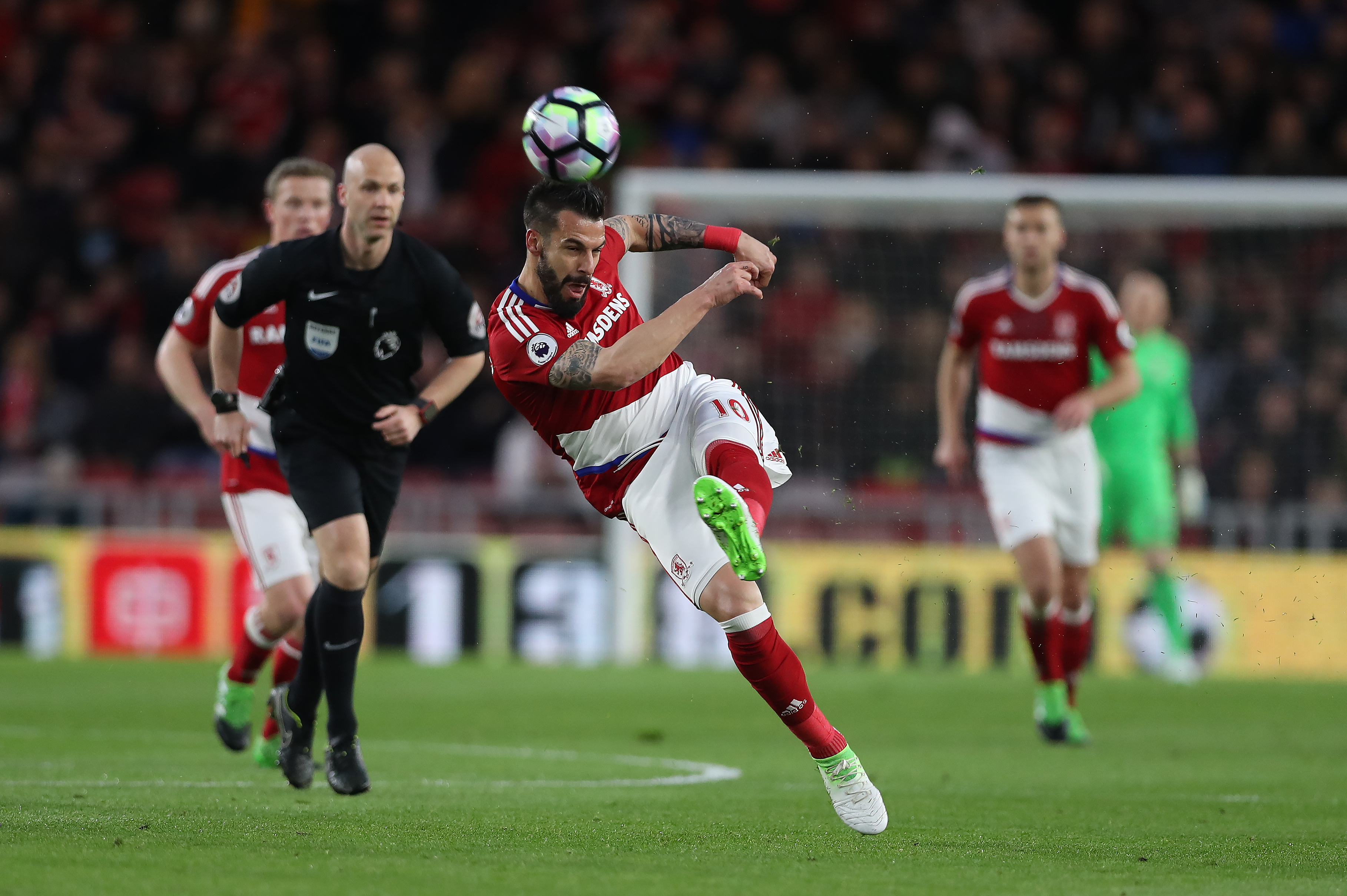 אלברו נגרדו