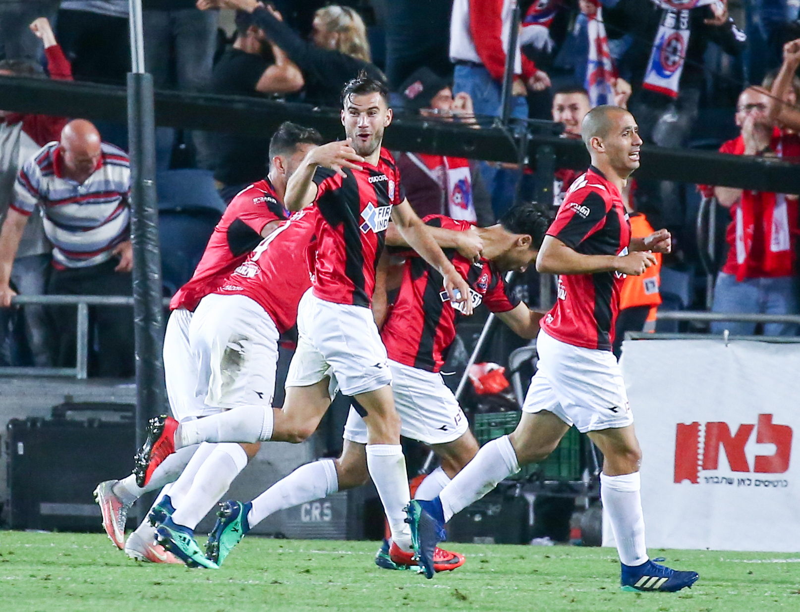 ראדו גינסארי, גילי ורמוט