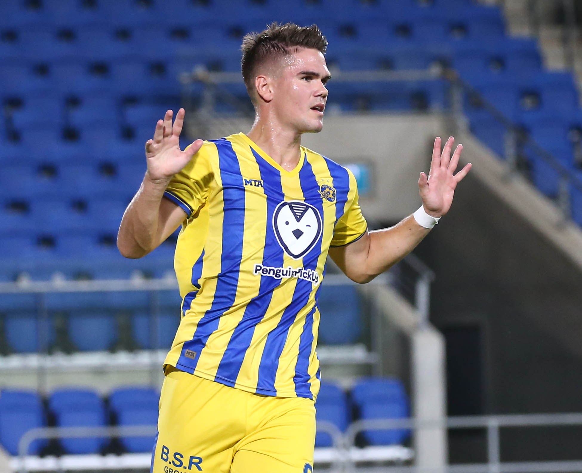 וידאר קיארטנסון