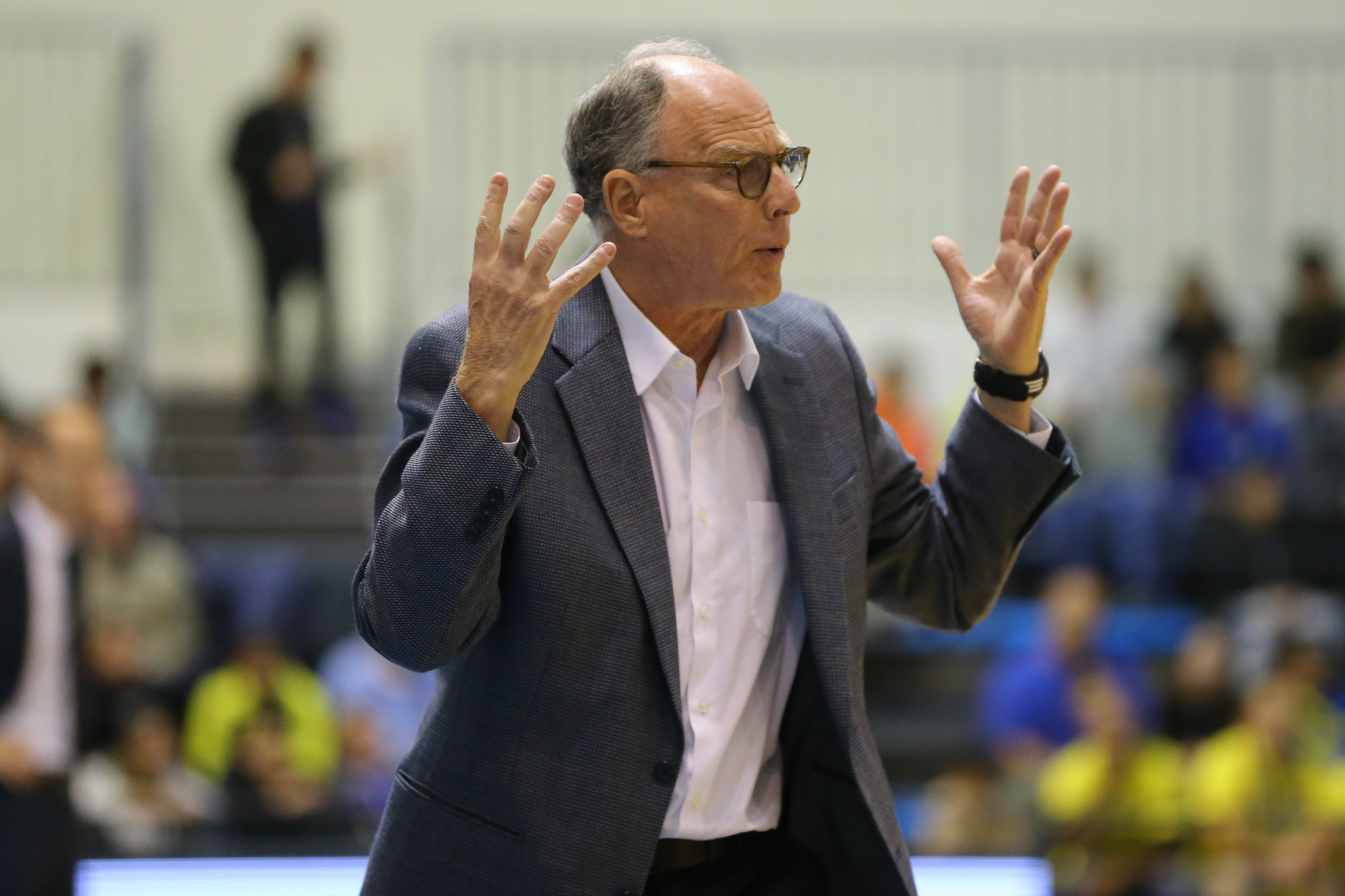 בראד גרינברג