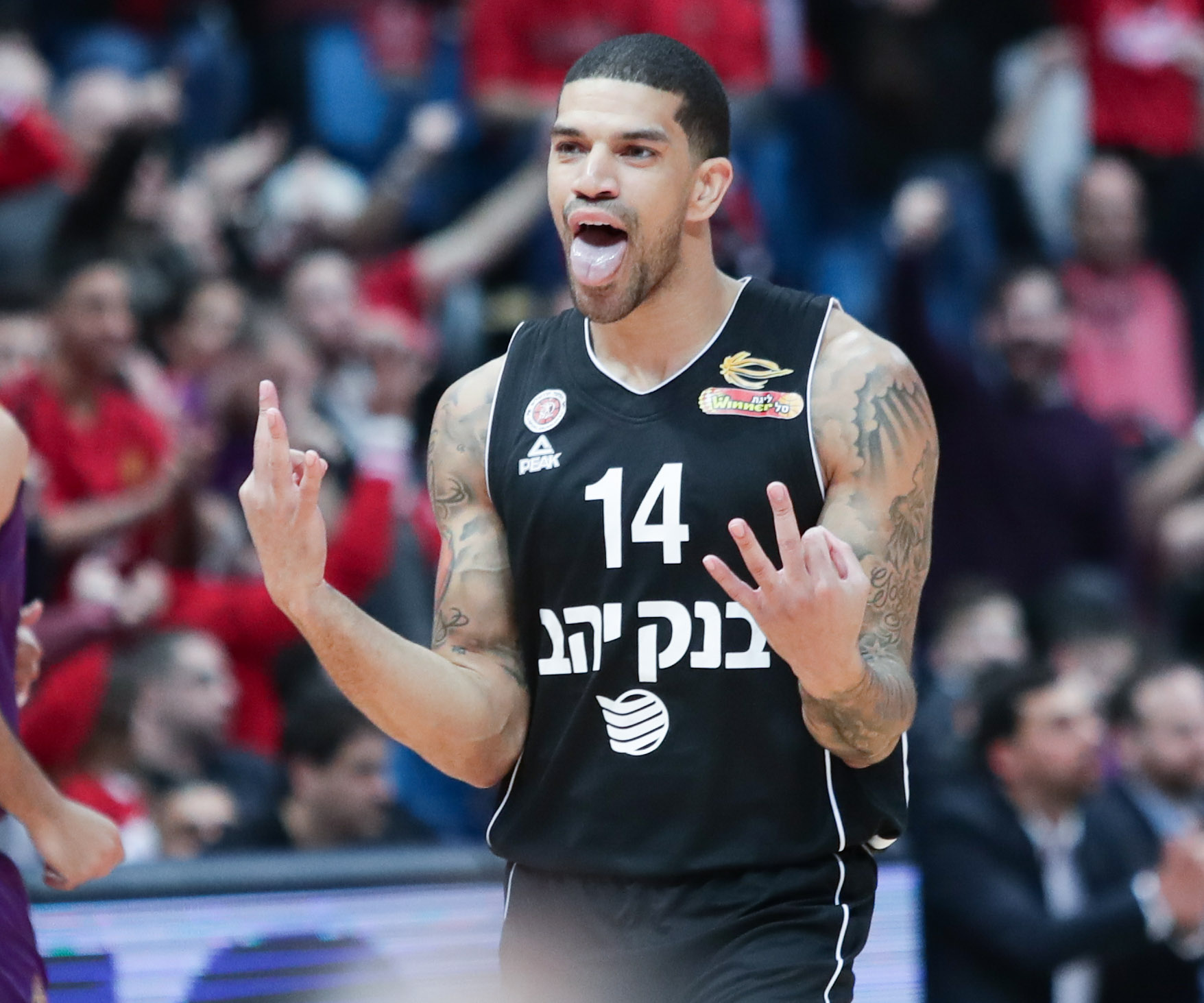 ג'יימס פלדין