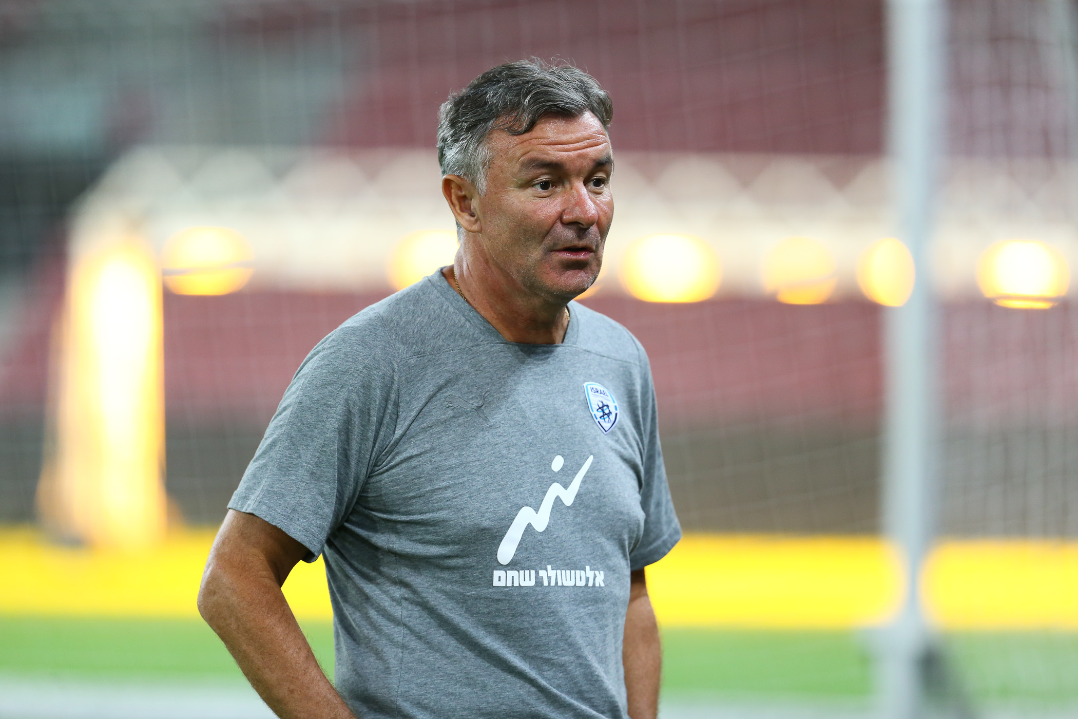 וילי רוטנשטיינר