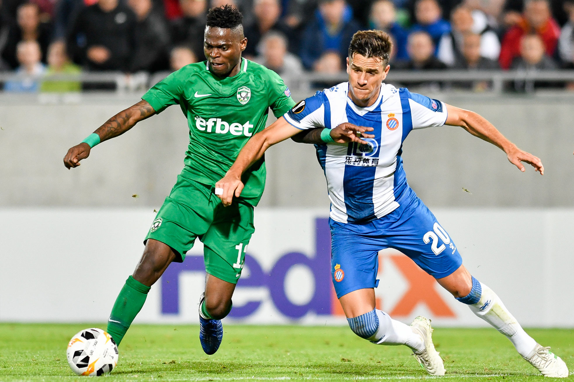 מאוויס צ'יבוטה , אספינוסה