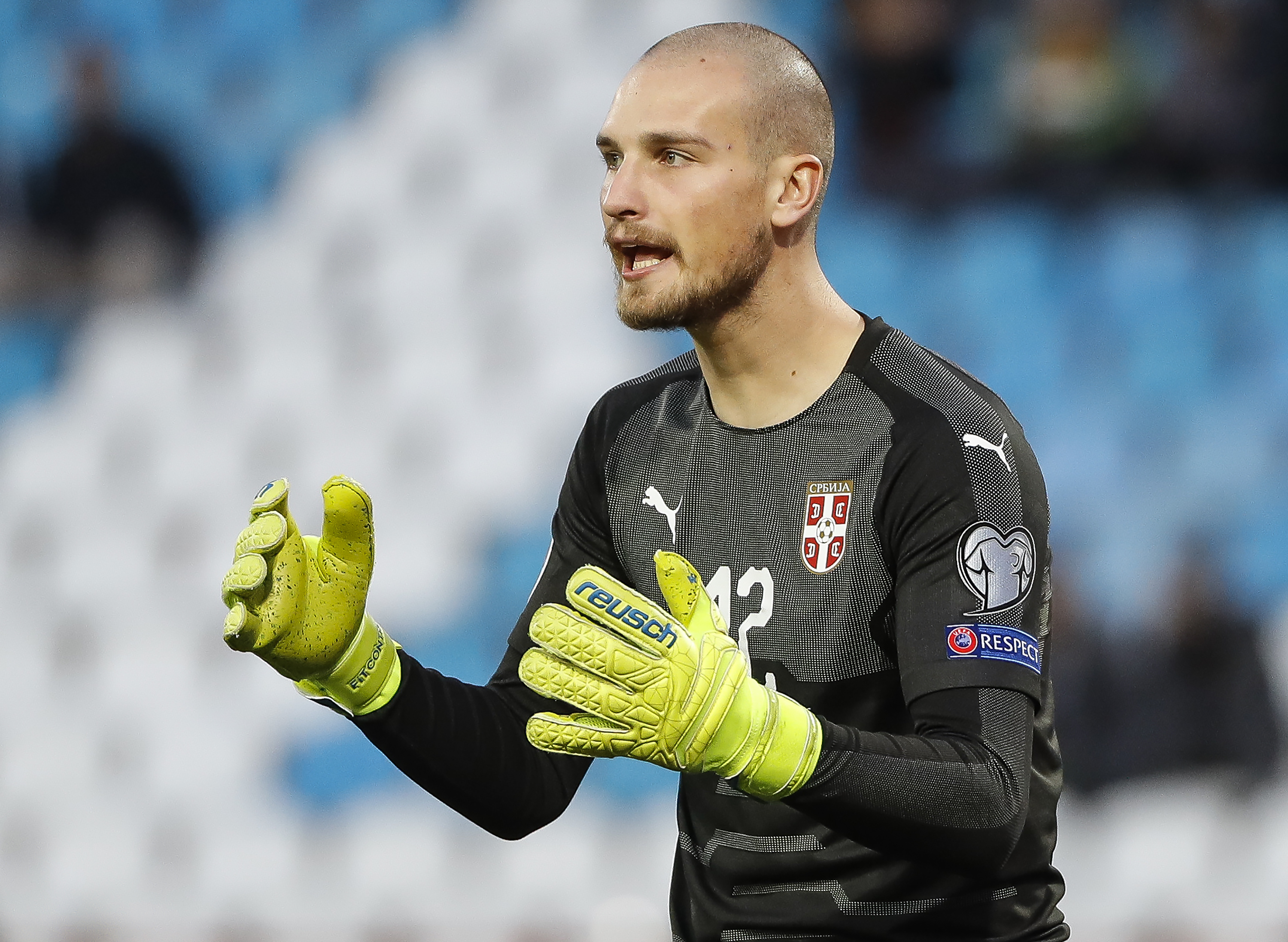 פרדראג ראיקוביץ'