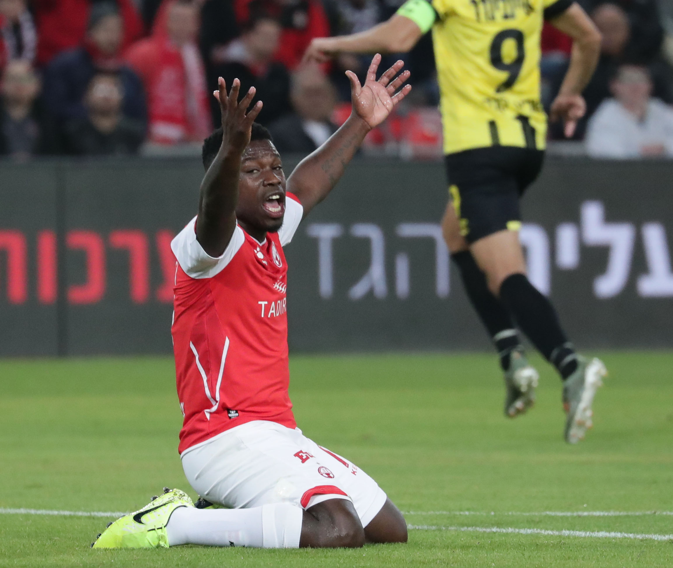 נייג'ל האסלביינק