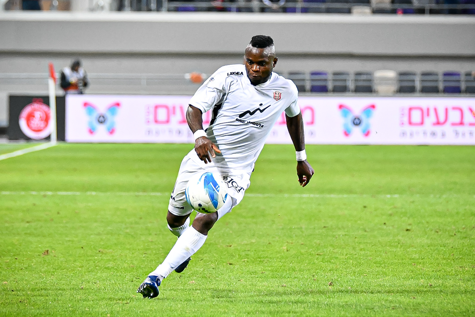 וויליאם אגאדה