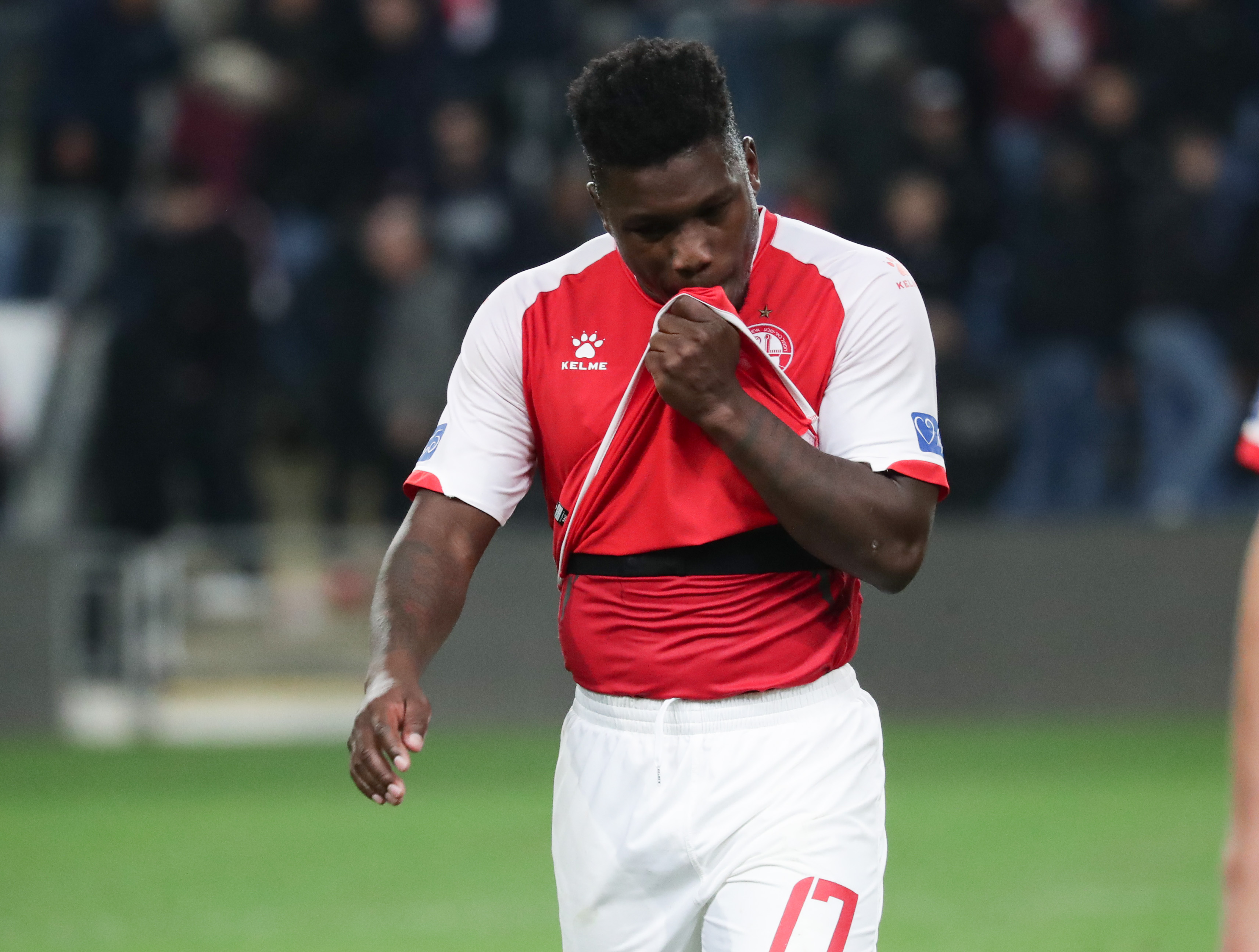 נייג'ל האסלביינק