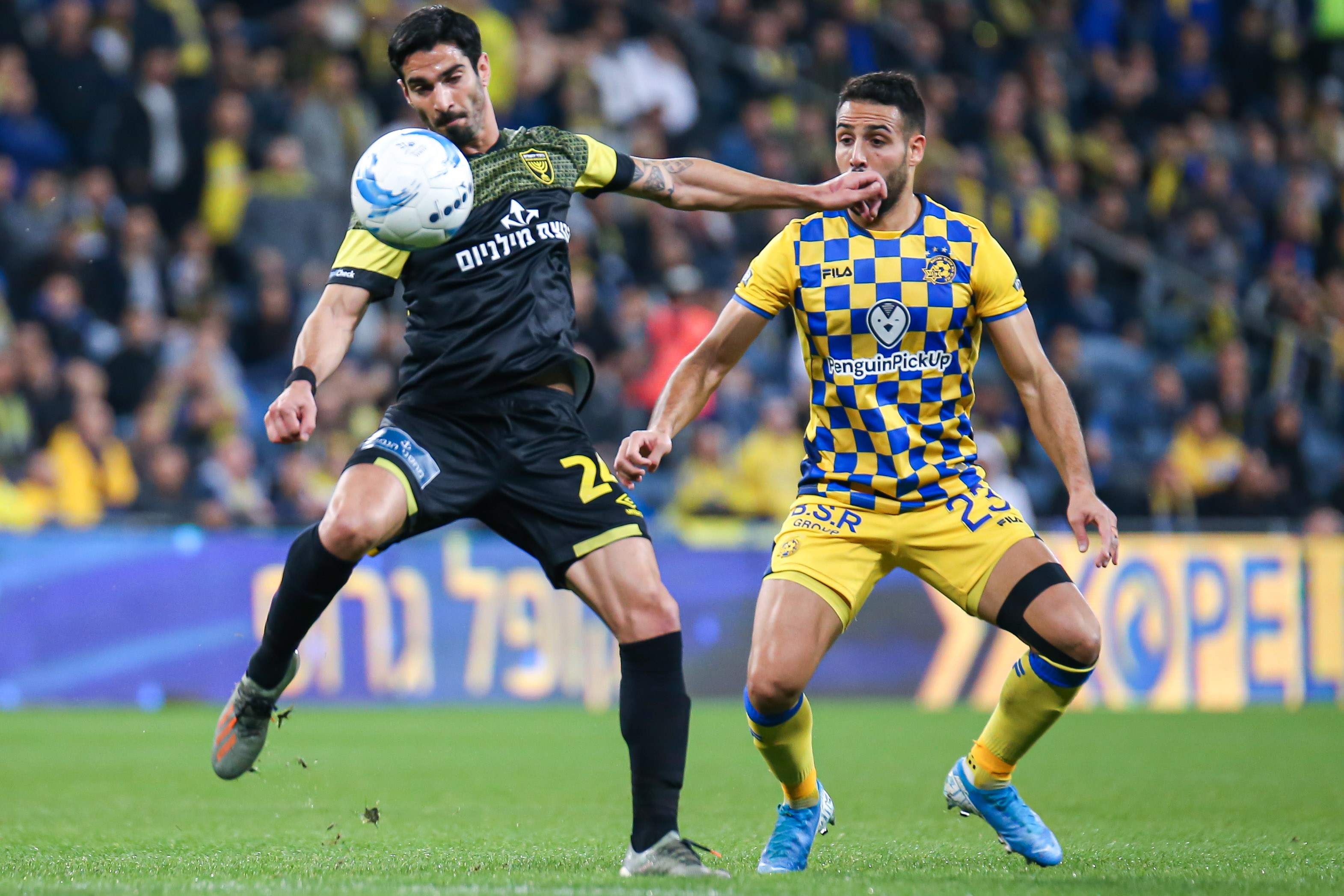 אופיר קריאף, אייל גולסה