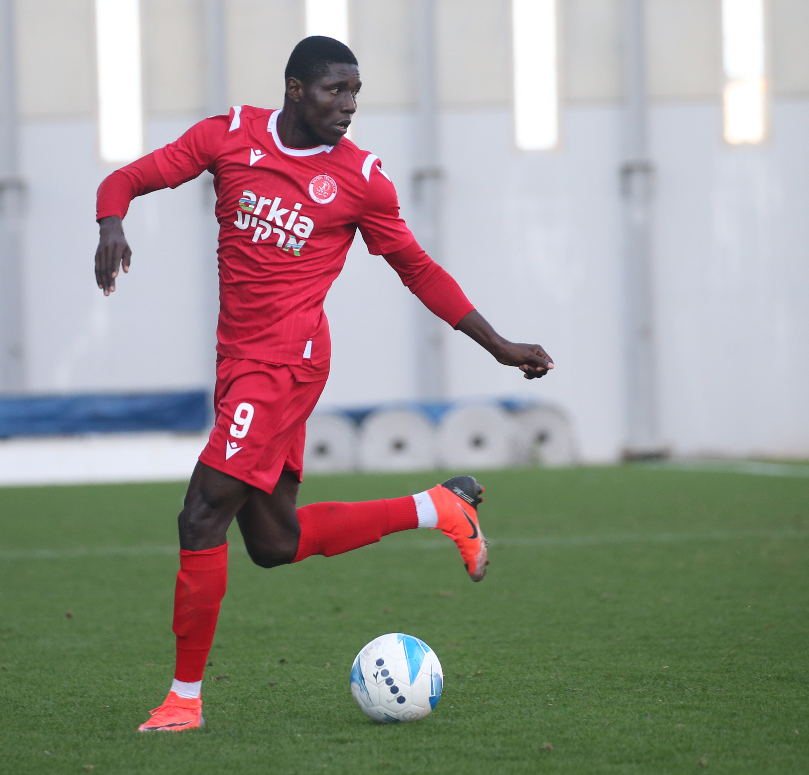 מייקל אולהה