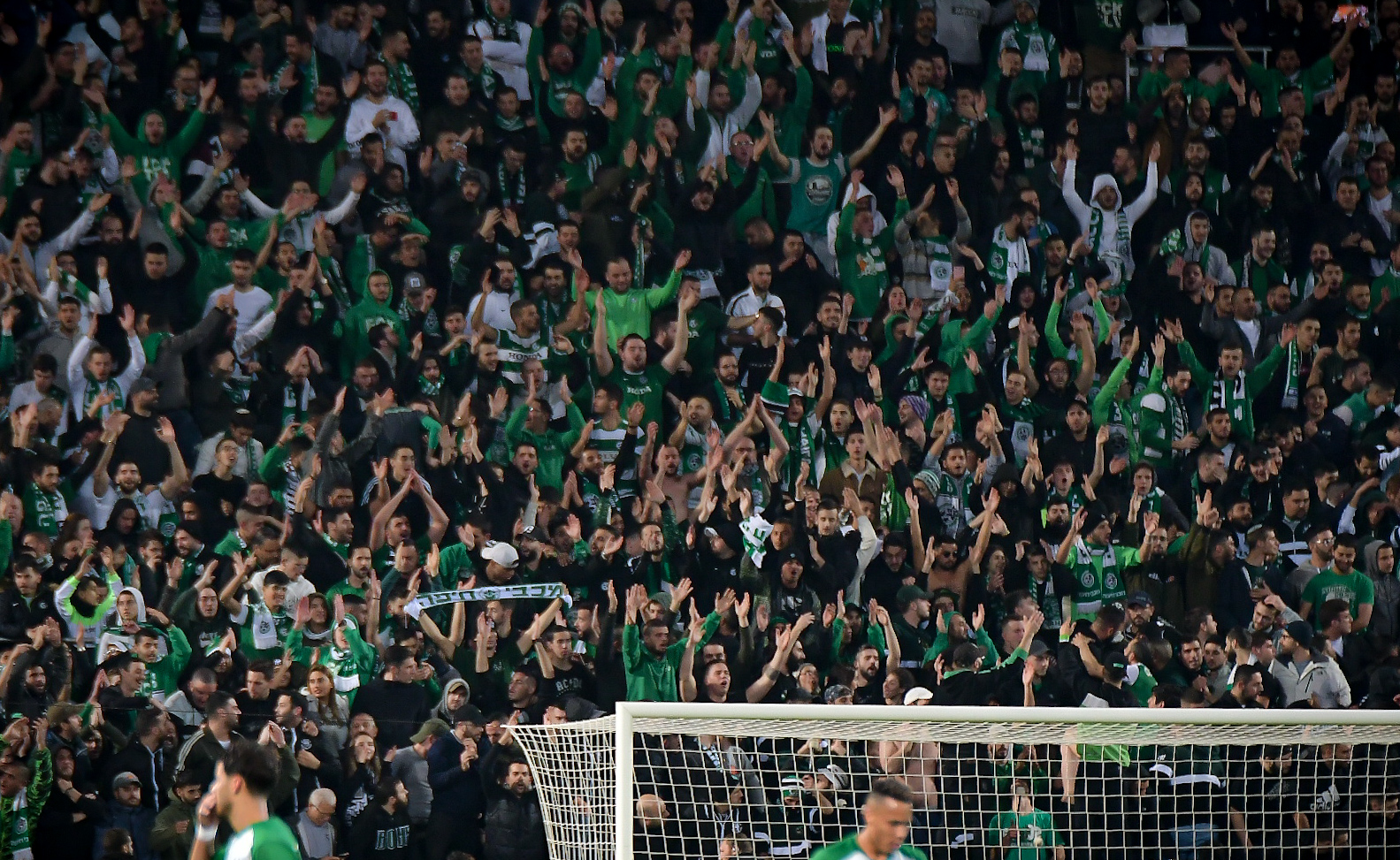 אוהדי מכבי חיפה