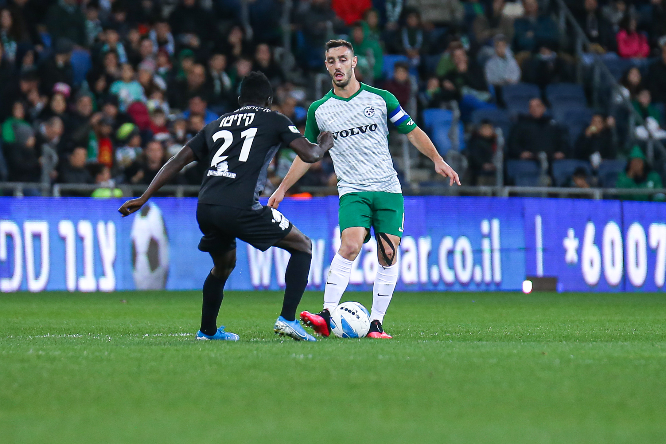 קיזיטו שומר על נטע לביא