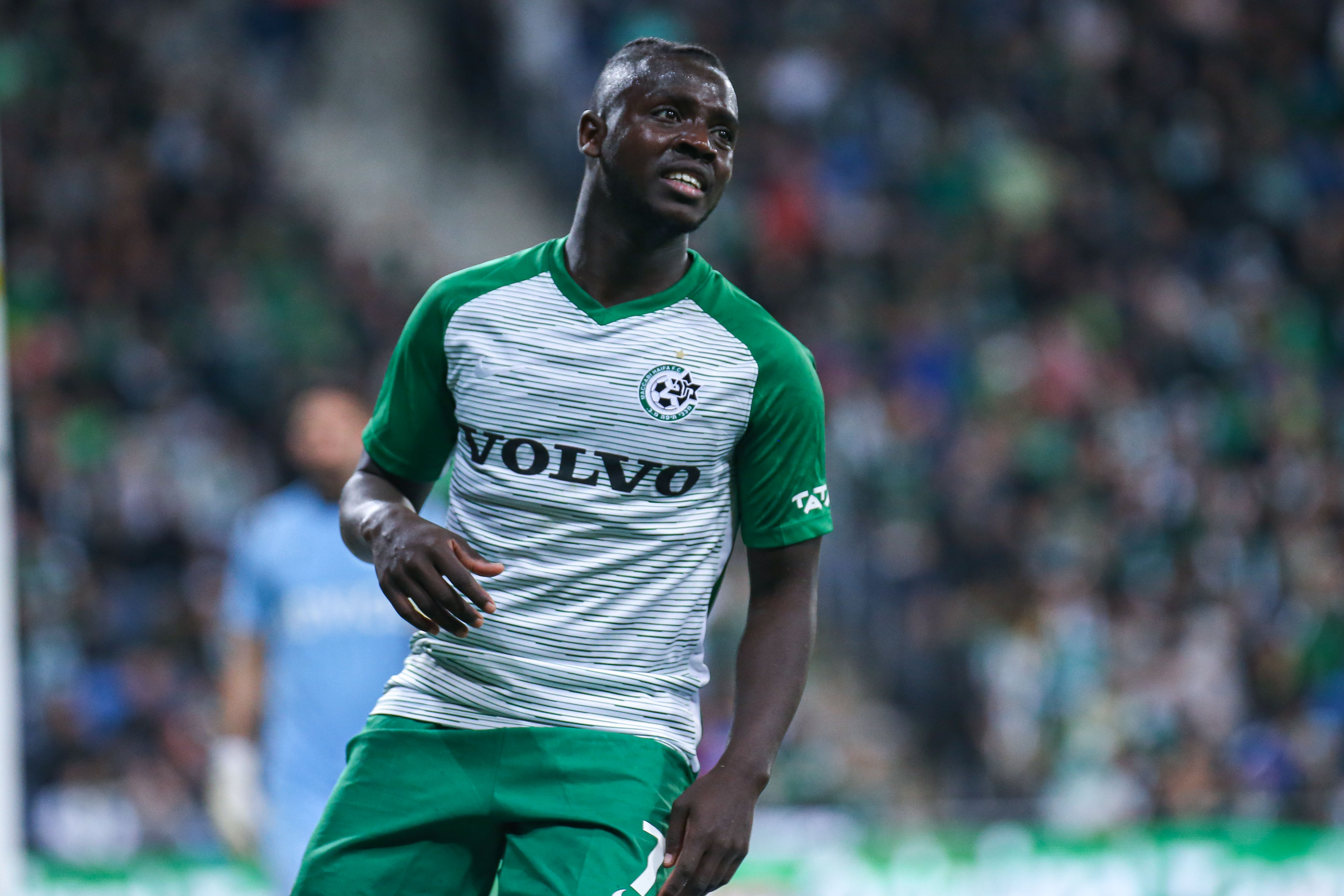 סינטיהו סלליך