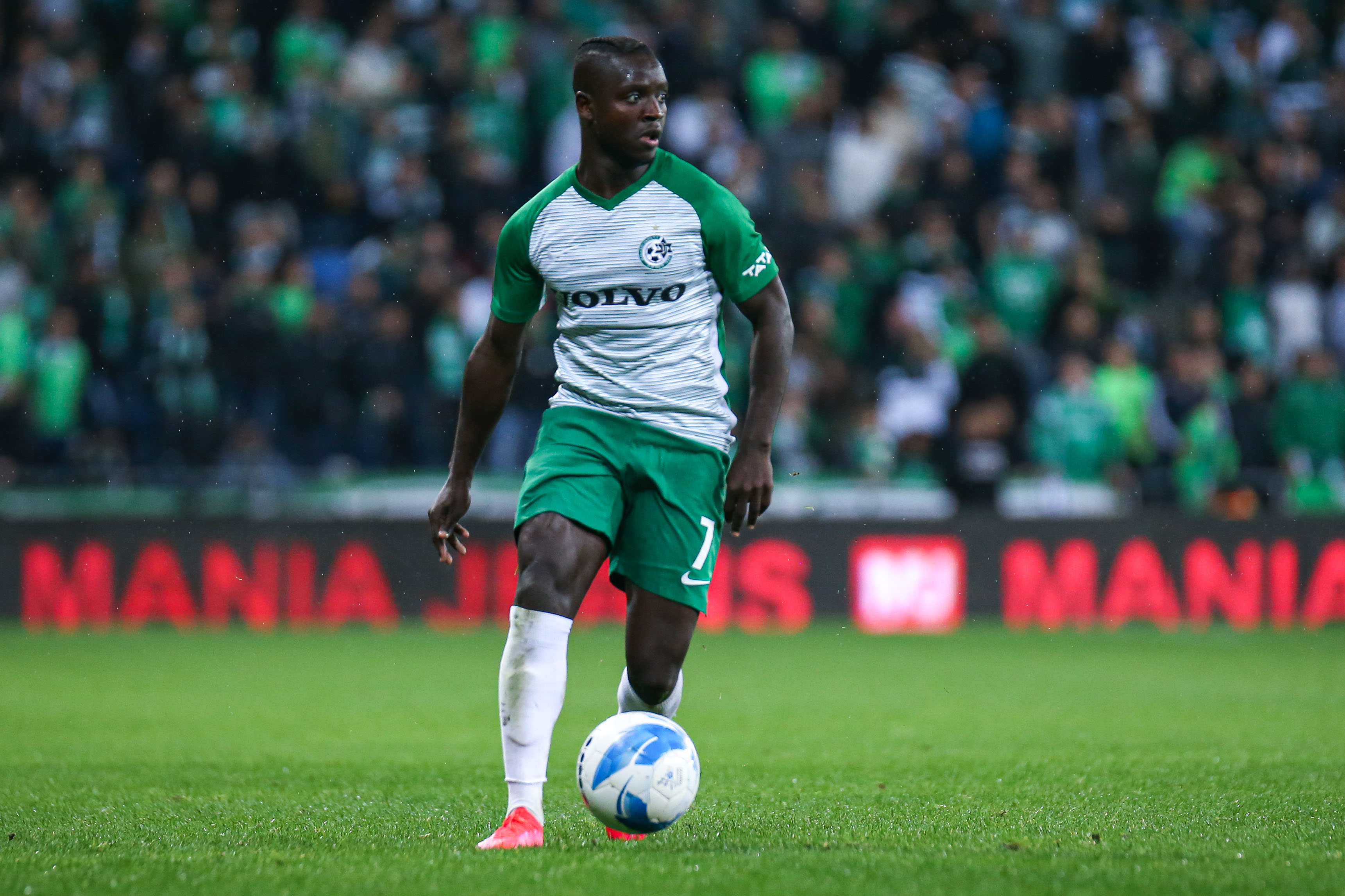 סינטיהו סלליך