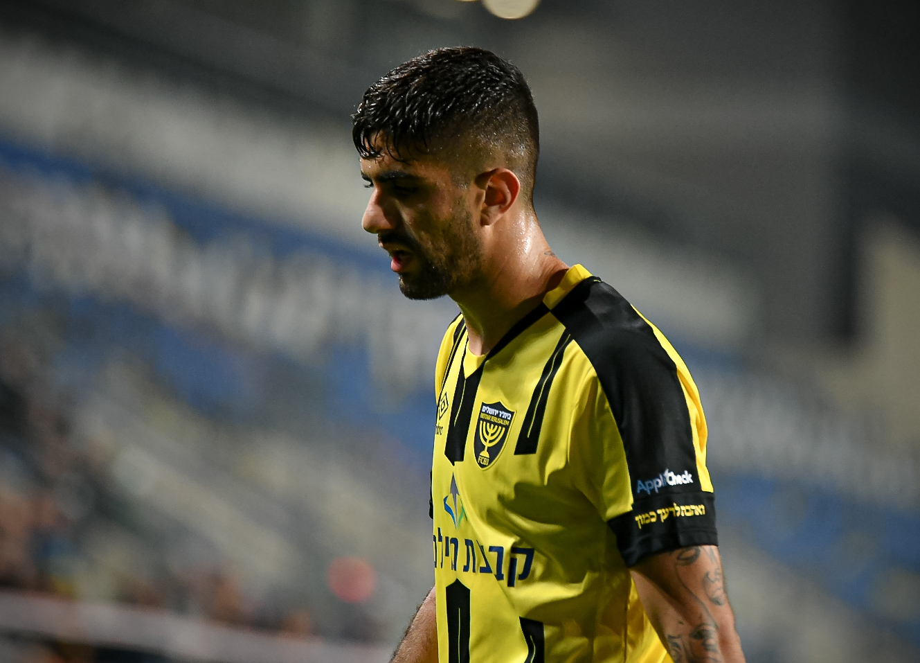 שי קונסטנטין