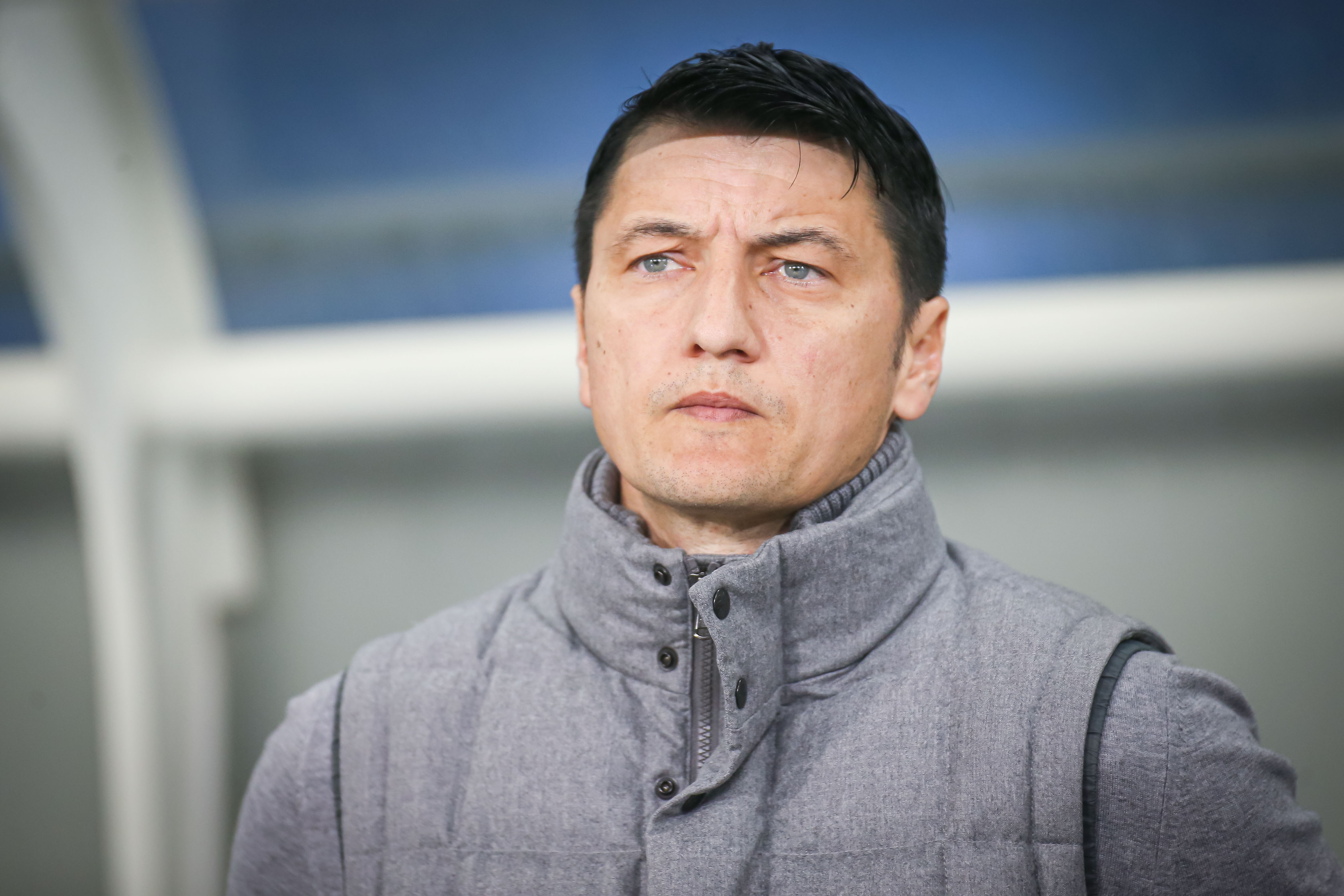 ולדימיר איביץ'