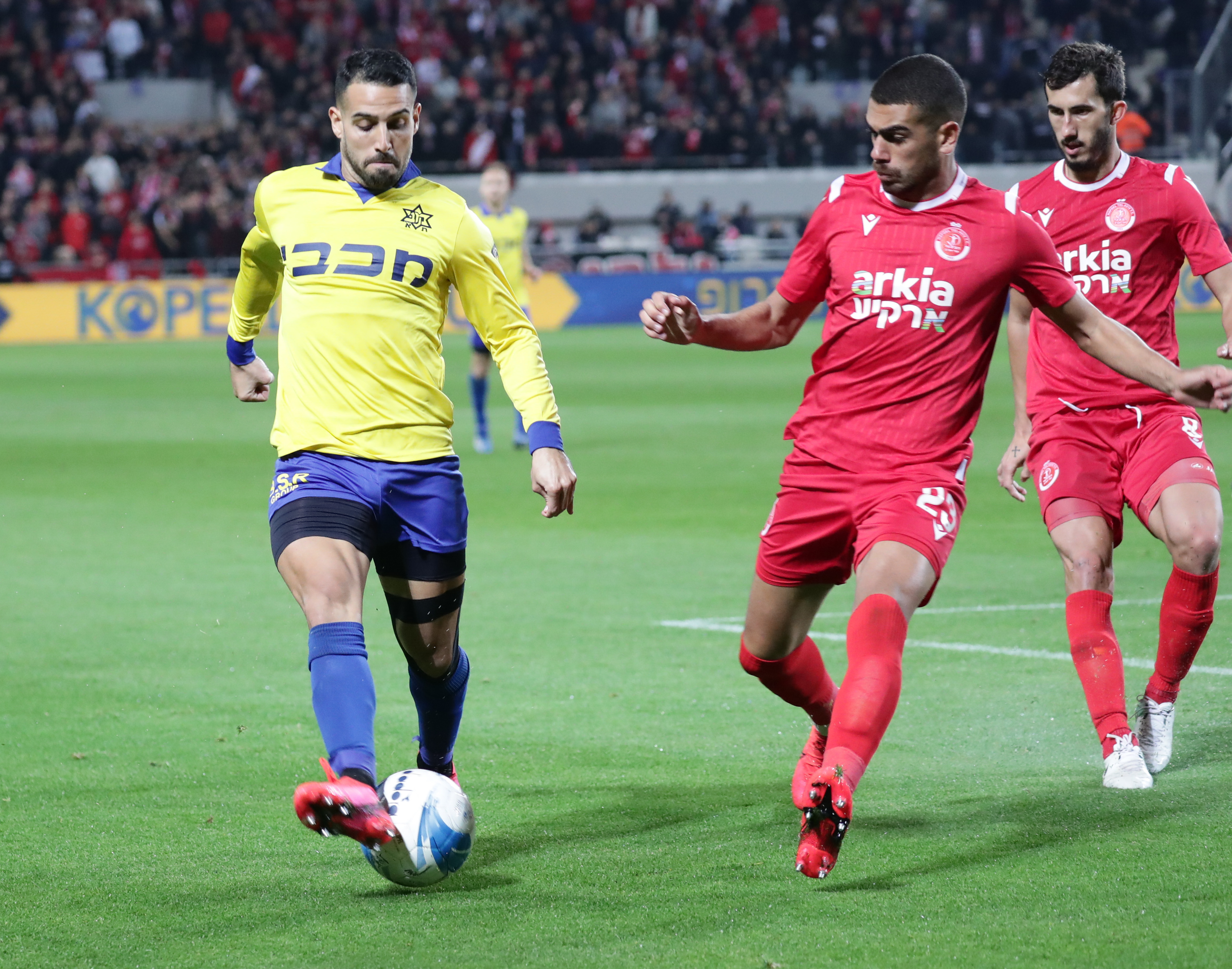 אייל גולסה, רז שלמה