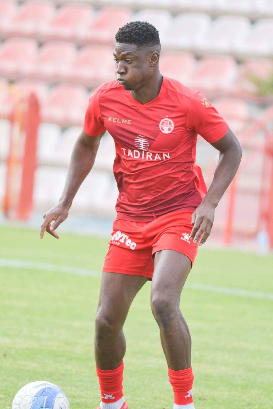 אלטון אקולטסה