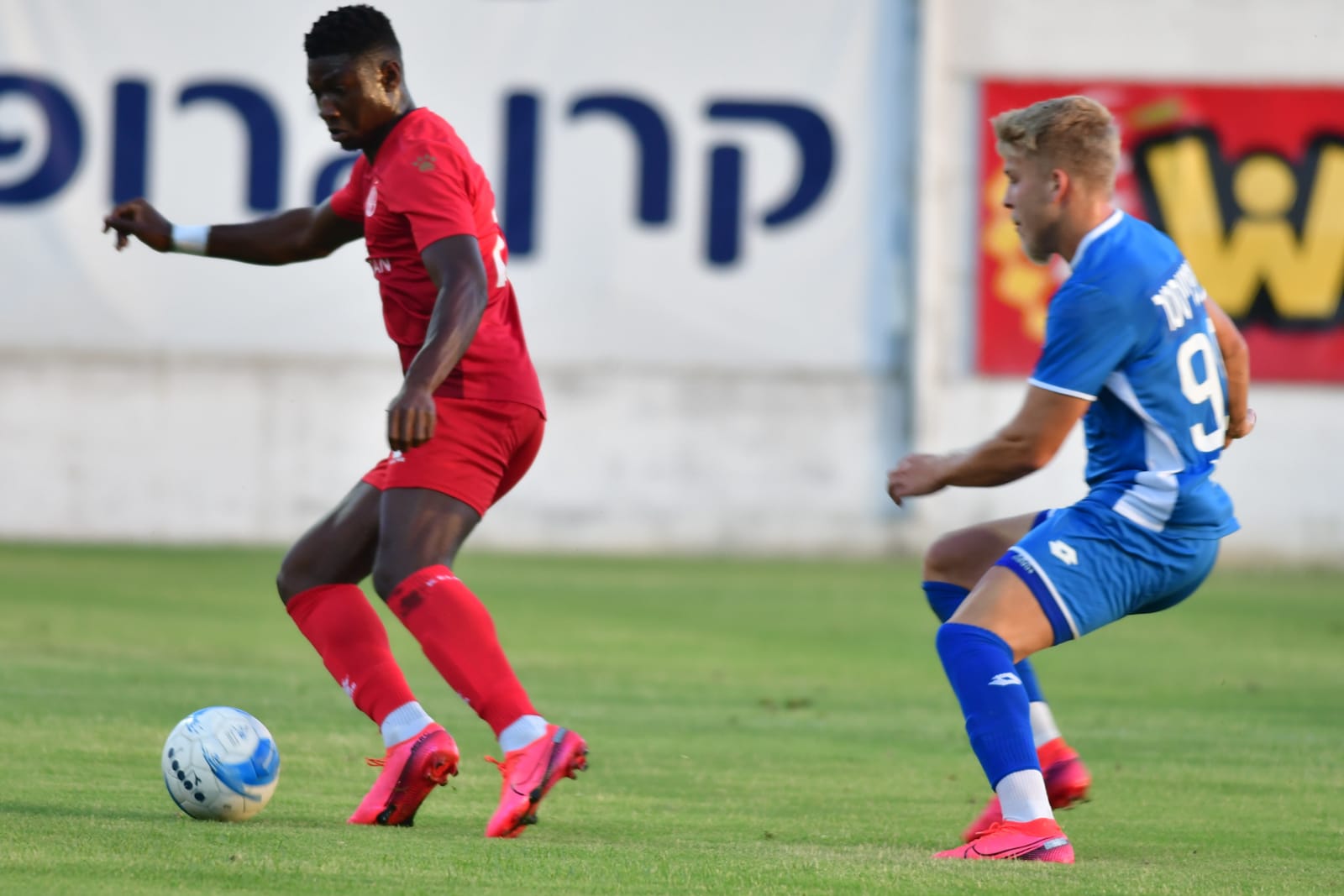 אלטון אקולטסה, יואב הופמייסטר