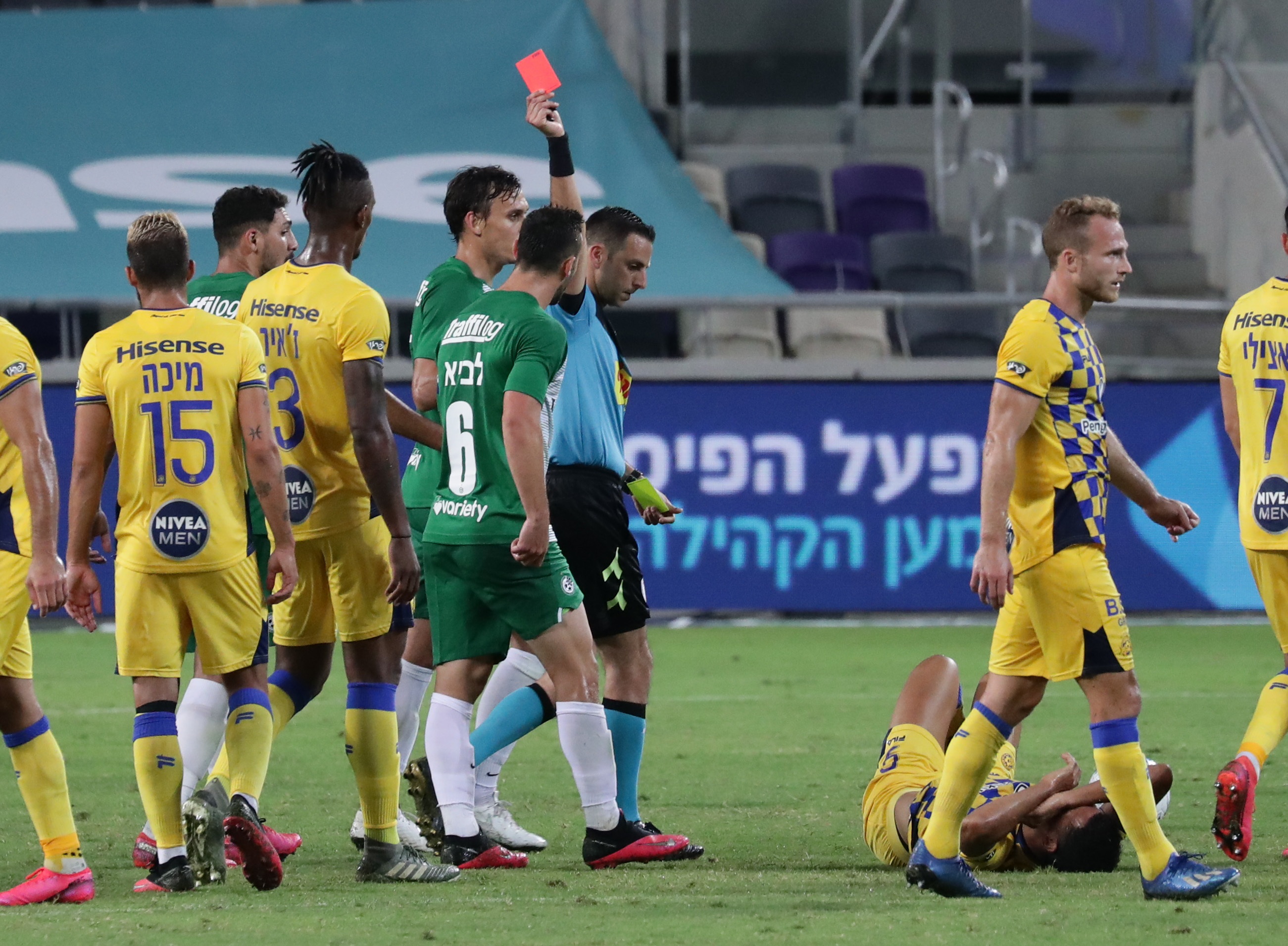 רועי ריינשרייבר, נטע לביא