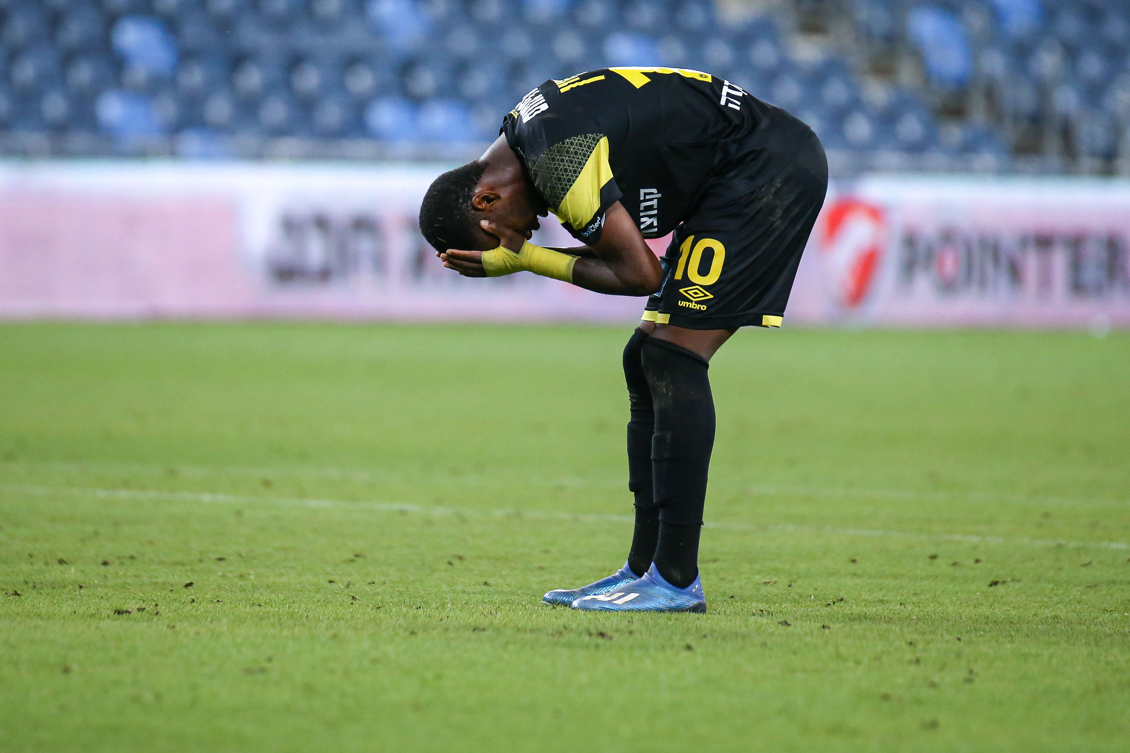 פרדי פלומיין