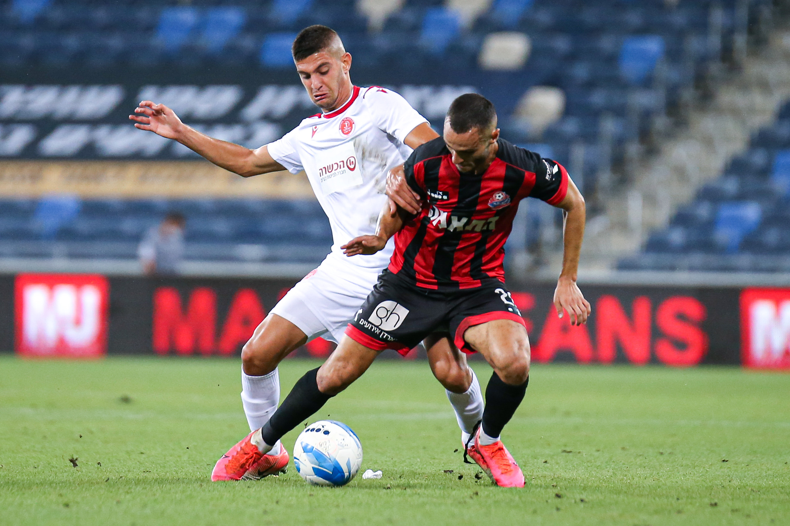 סער פדידה, עמית מאיר