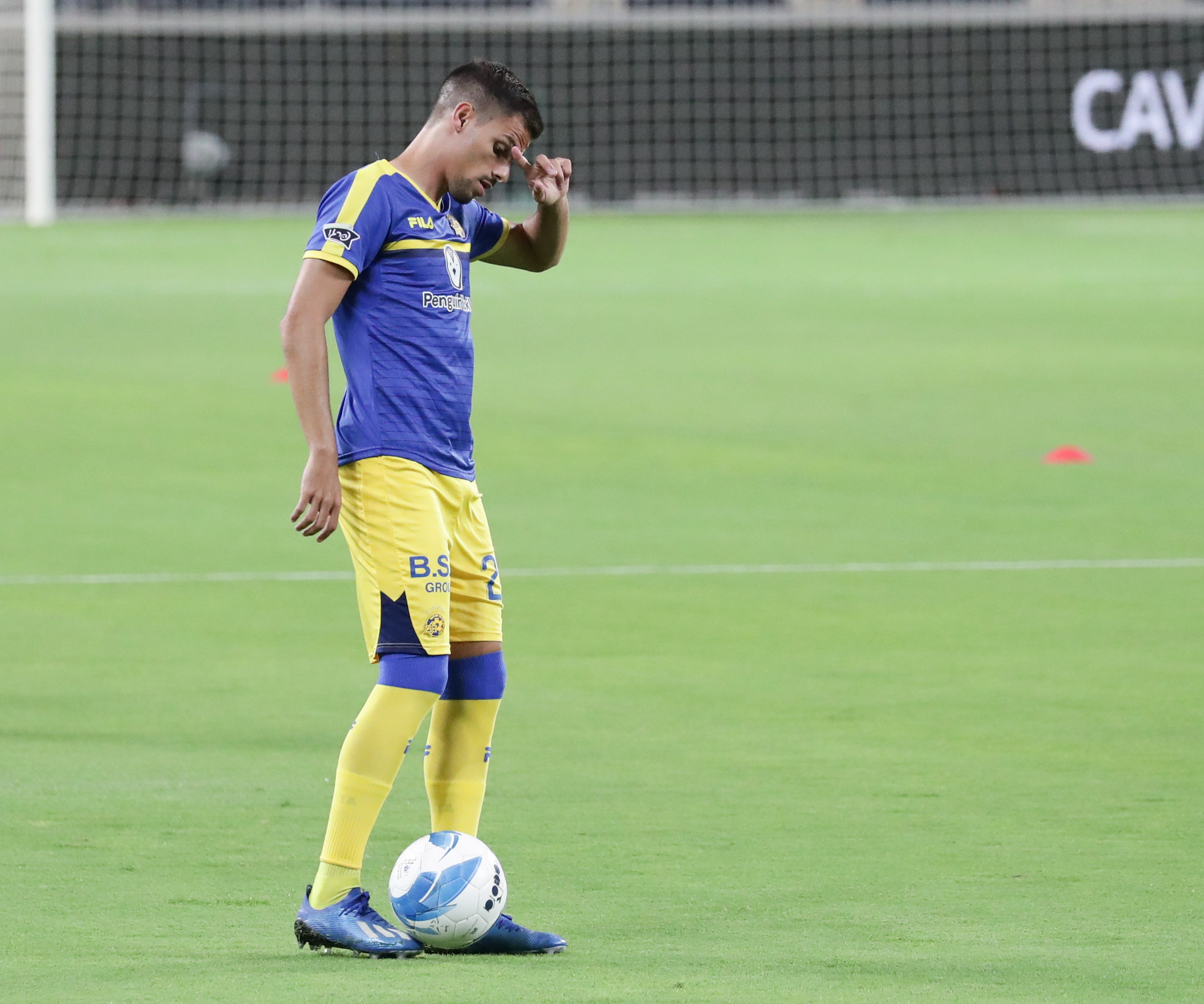 אנדרה ג'ראלדש