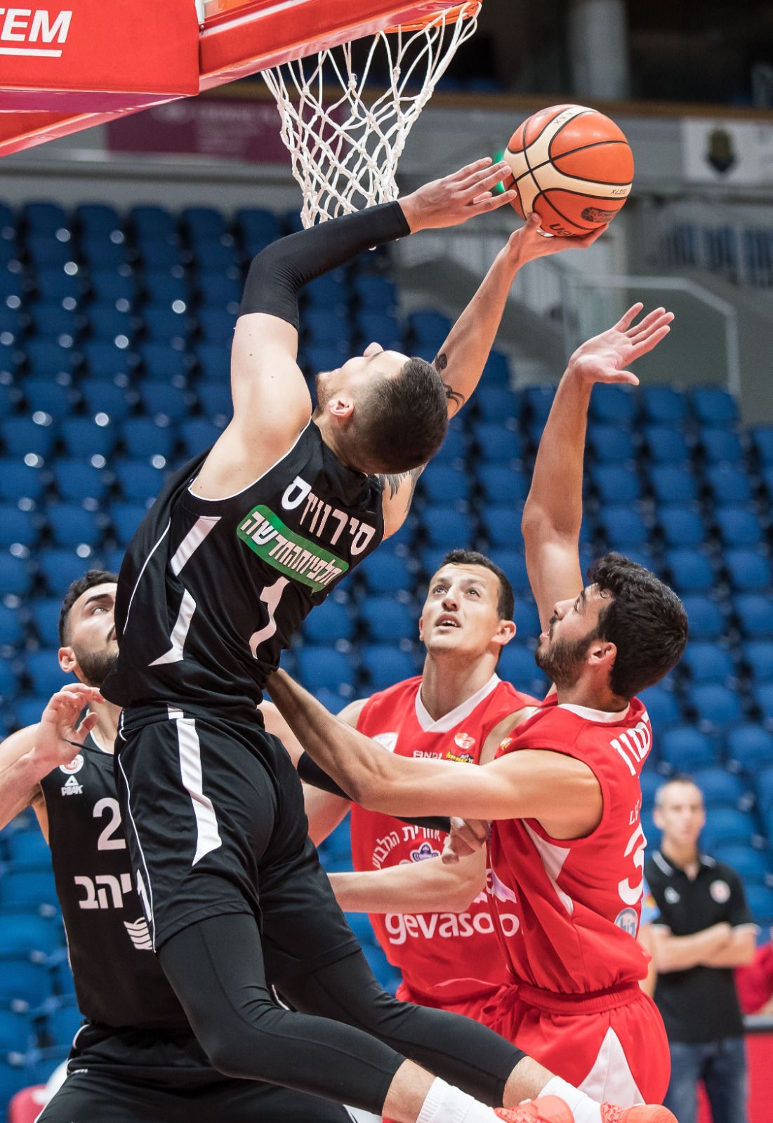 דייוידאס סירווידיס