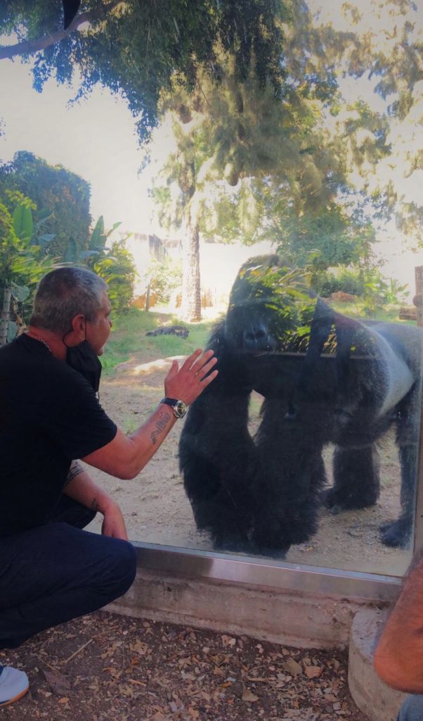 This image has an empty alt attribute; its file name is 1011832