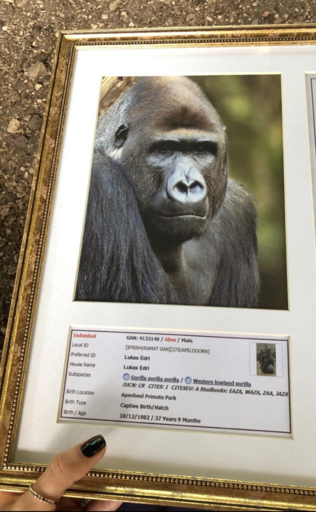 This image has an empty alt attribute; its file name is 1011831