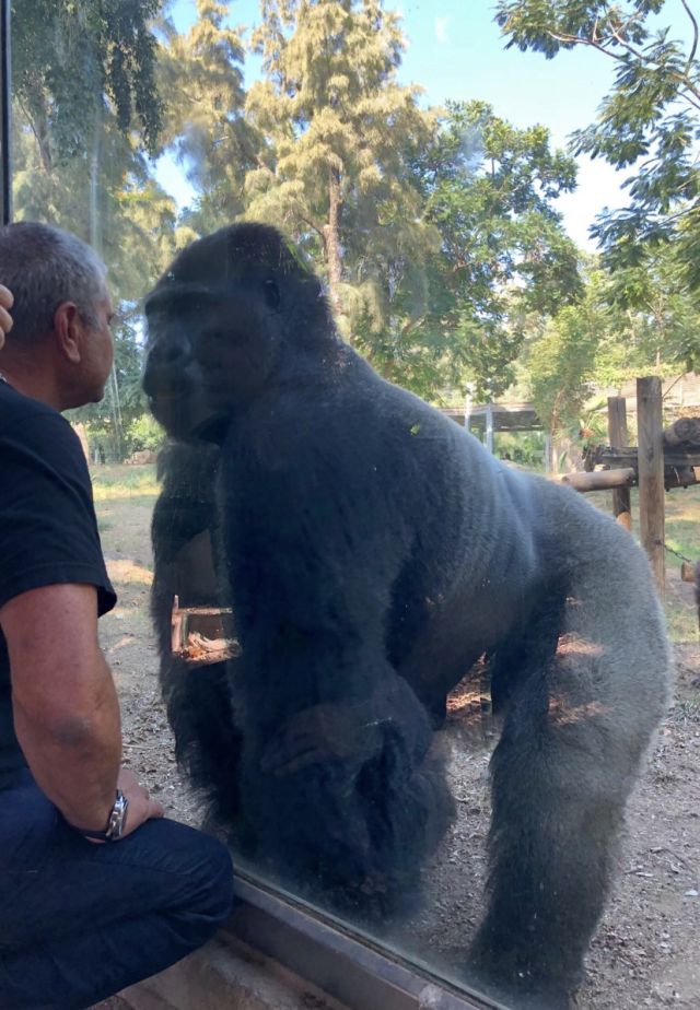 This image has an empty alt attribute; its file name is 1011833