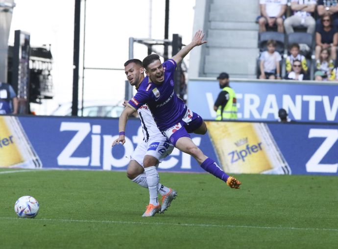 דורון ליידנר, אוסטריה וינה