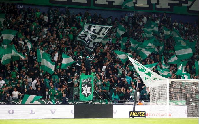 קהל מכבי חיפה