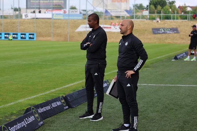 מסאי דגו, מאמן מכבי חיפה