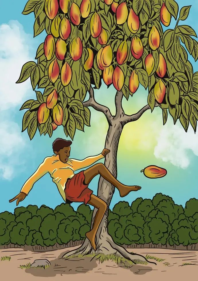 פלה - מתוך הספר "בעיטת פתיחה  - סיפורי החיים של אגדות הכדורגל"