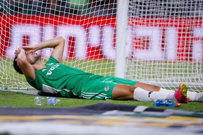 שחקן מכבי חיפה דין דוד