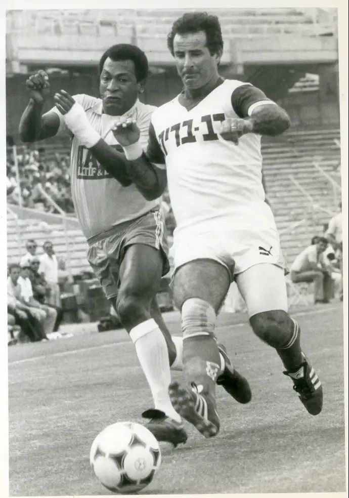 ישעיהו שווגר