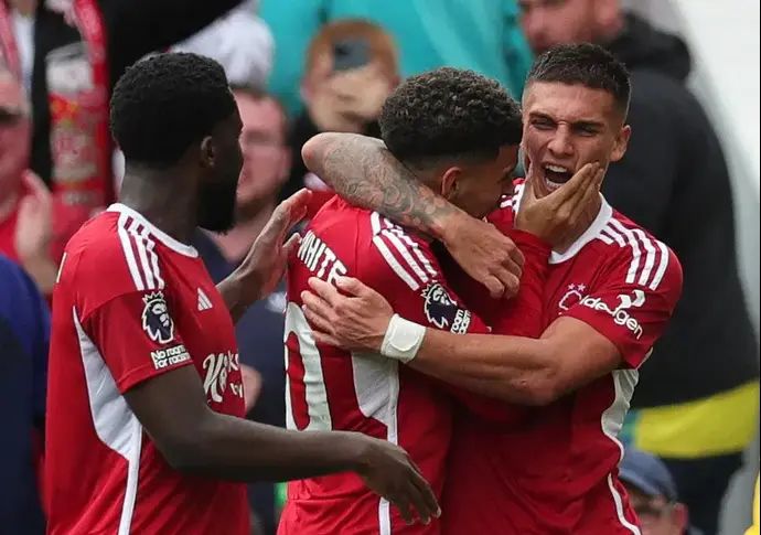 ניקולאס דומינגס, שחקן נוטינגהאם פורסט