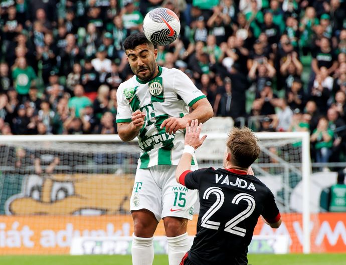 מוחמד אבו פאני שחקן פרנצווארוש