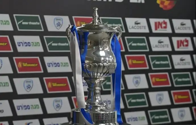 גביע המדינה