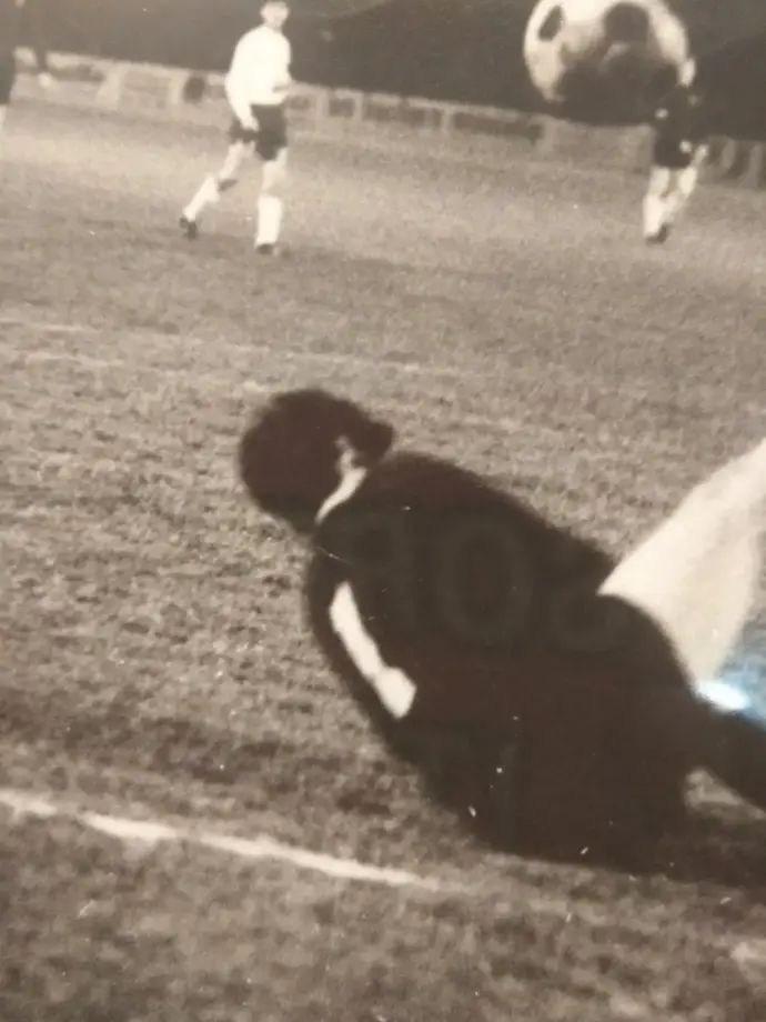 יהודה פילוסוף