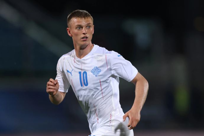 שחקן נבחרת איסלנד אלברט גודמונדסון