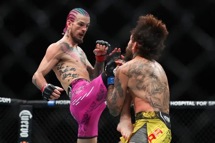 שון אומאלי מול צ'יטו ורה, UFC