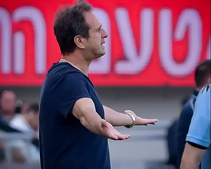 רוני לוי, מאמן הפועל חיפה