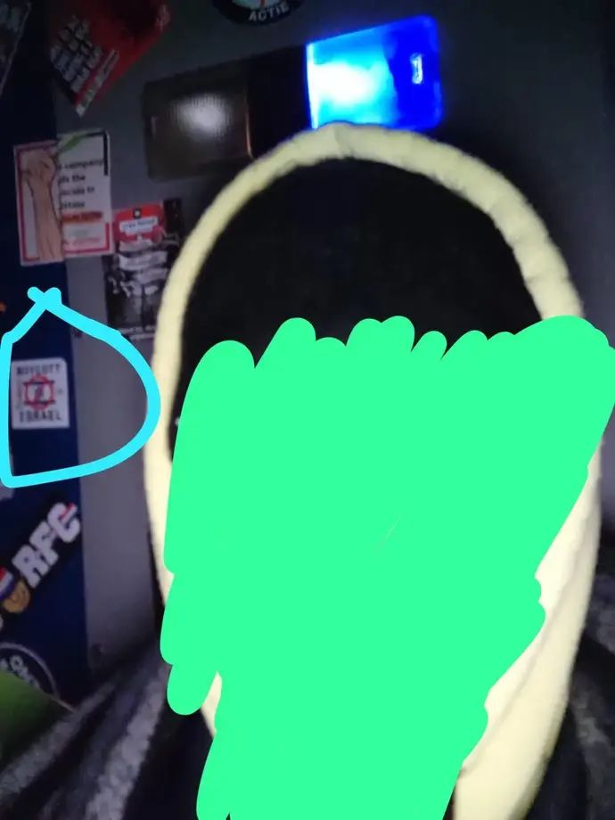 תיעוד מאוהד מכבי תל אביב של כתובות אנטי ישראליות בניידת משטרה באמסטרדם