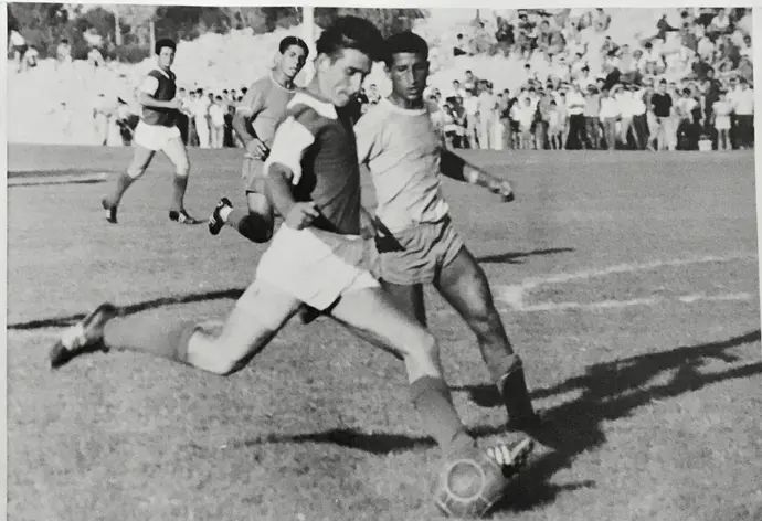 ויקטור יאנג