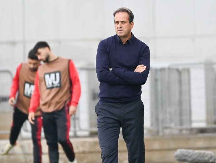 רוני לוי, מאמן הפועל חיפה