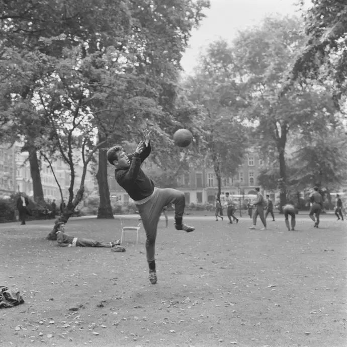 שוער העבר חיים לוין