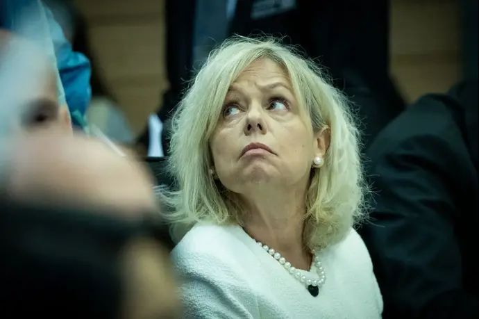 היועמ"שית גלי בהרב מיארה, דיון ועדת החוקה על פשיעה מאורגנת, 18 בנובמבר 2024